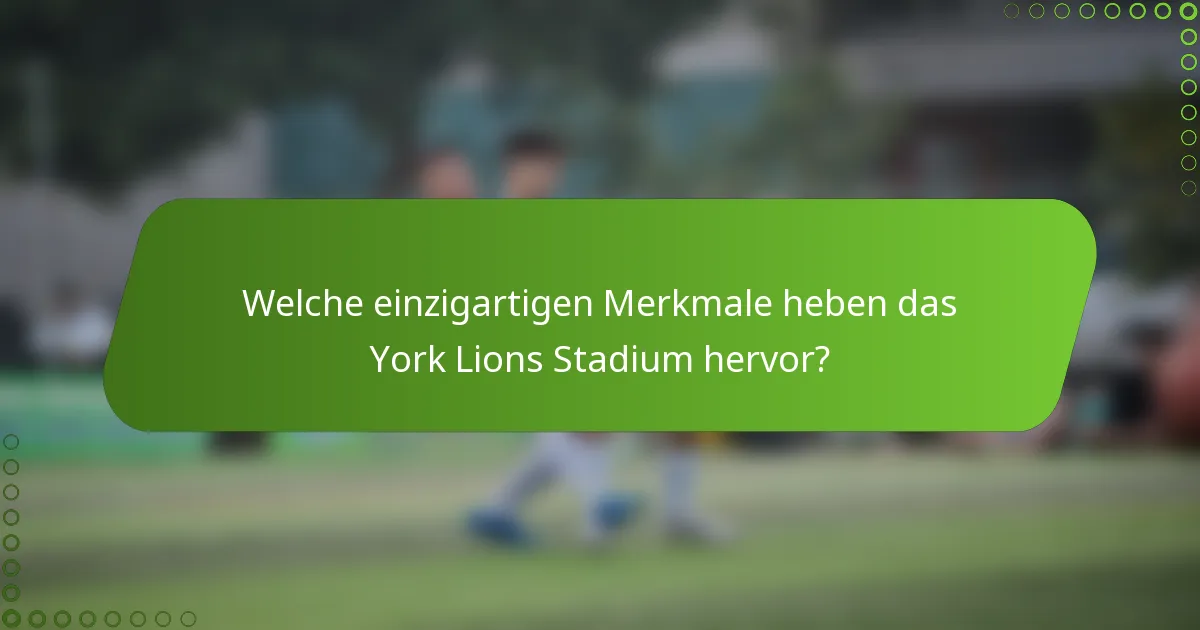 Welche einzigartigen Merkmale heben das York Lions Stadium hervor?