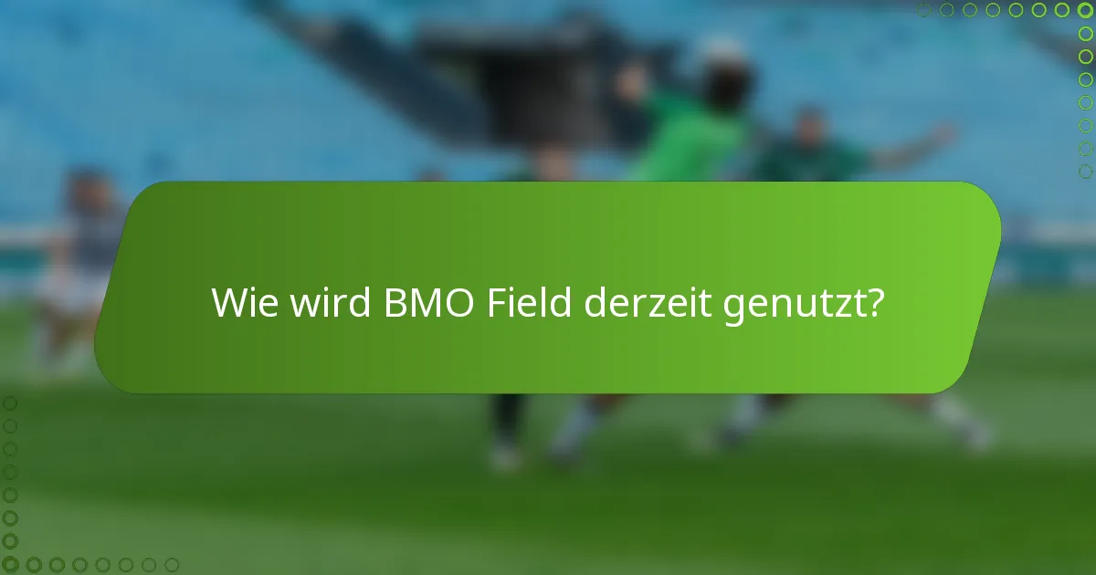 Wie wird BMO Field derzeit genutzt?