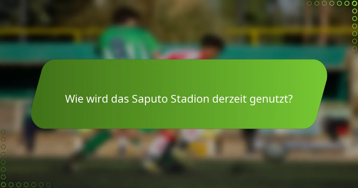 Wie wird das Saputo Stadion derzeit genutzt?
