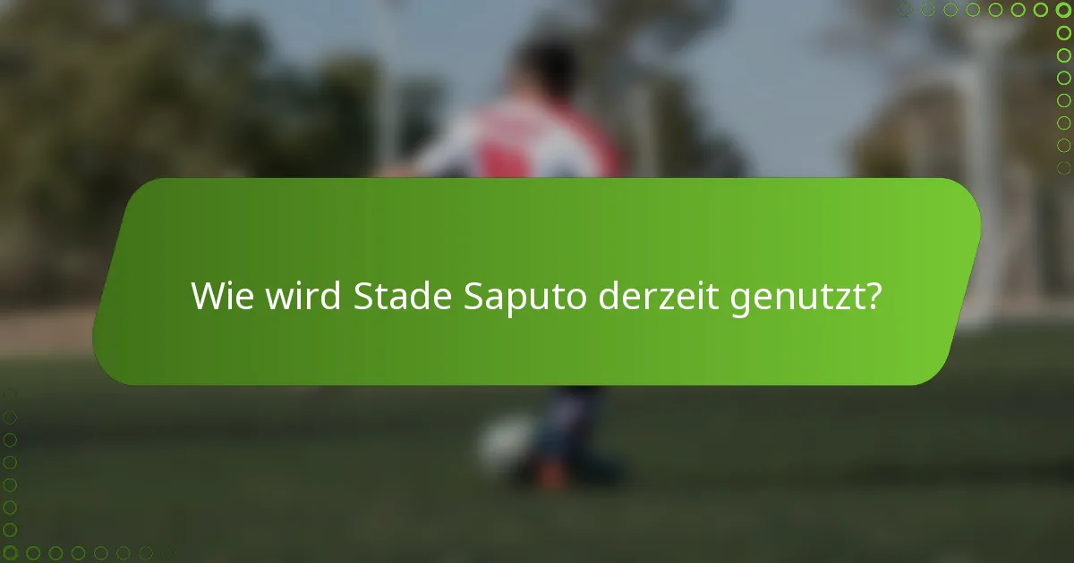 Wie wird Stade Saputo derzeit genutzt?